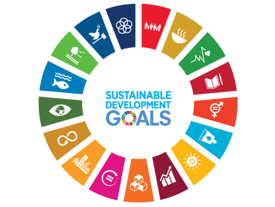 UN Sustainable Development Goals